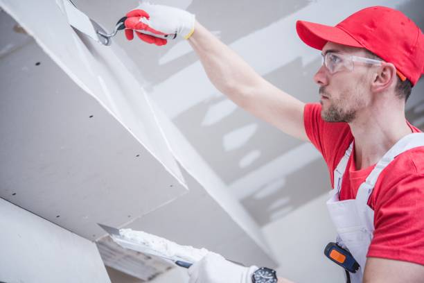 Reliable Daisetta, TX Painting & Drywall Installation Solutions